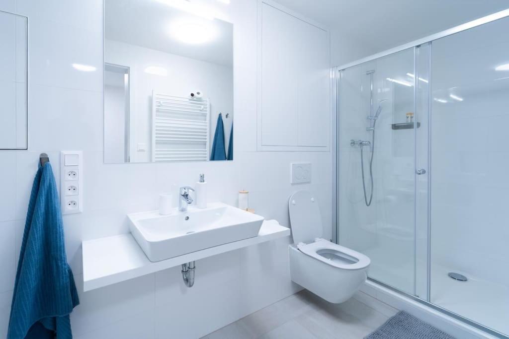 City Park Apartment - Brno Zewnętrze zdjęcie